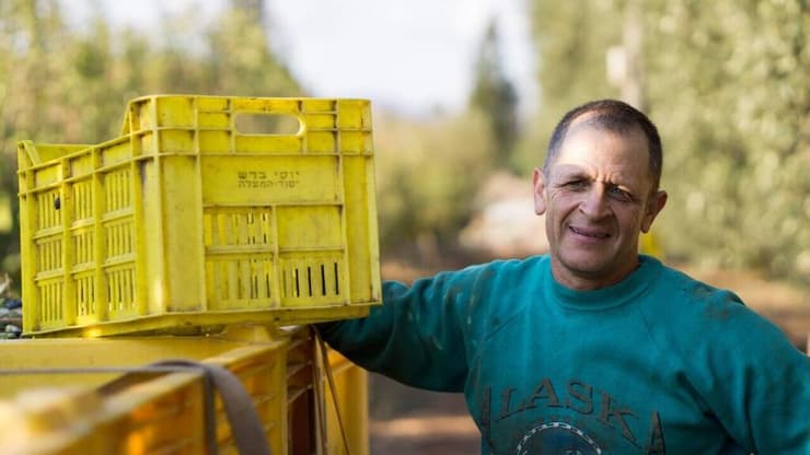 יוסי ברש
