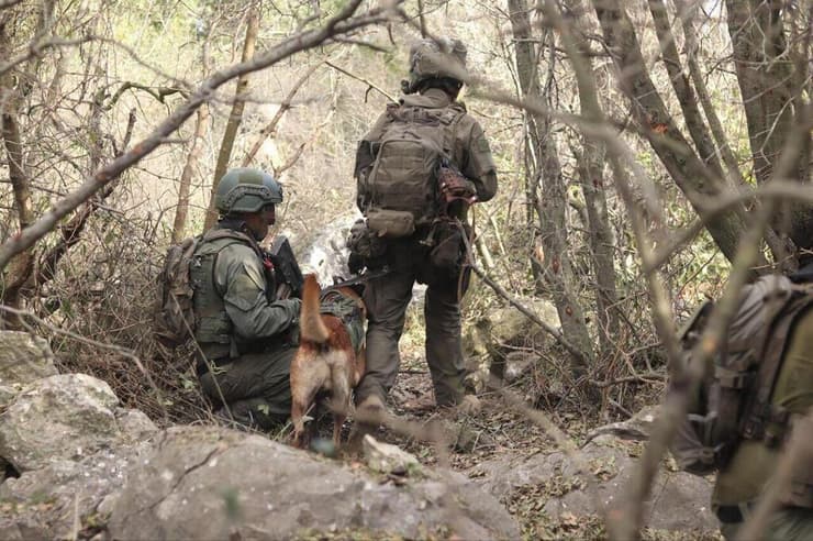חטיבת עציוני בפעילות צבאית בלבנון 