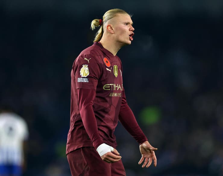 כבש יותר מחצי מהשערים של סיטי בליגה. הולאנד (צילום: REUTERS/Toby Melville) הולאנד