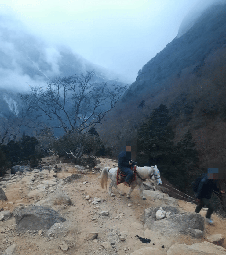לוחמי סיירת מטכ"ל בטרק האוורסט בייס קמפ