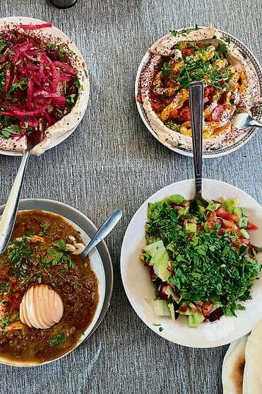 צילום: דוד קישקה yk14145469