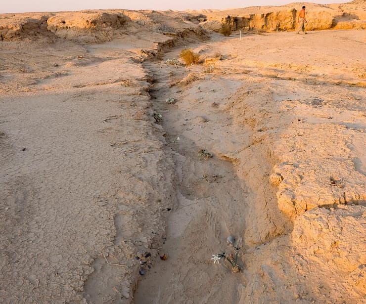 "שביל החבצלות" בערבה