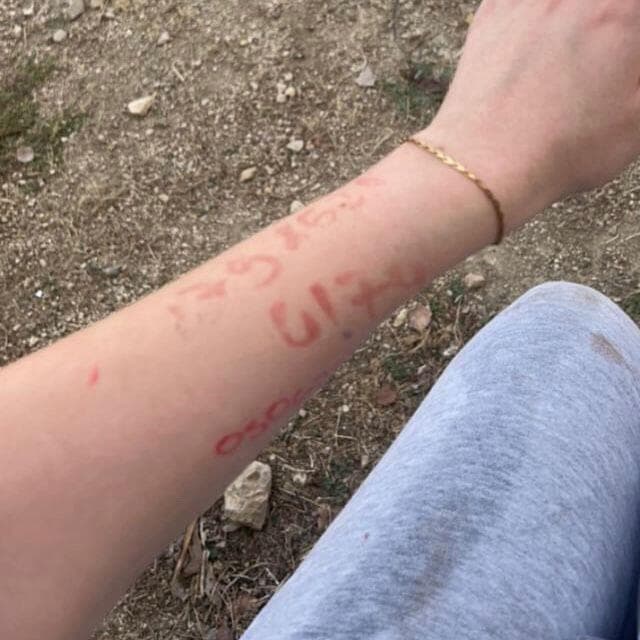 האיתורים שרשמה הדר על ידה האיתורים שרשמה הדר טרייטל על ידה