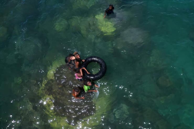 אלמוגים באיי שלמה