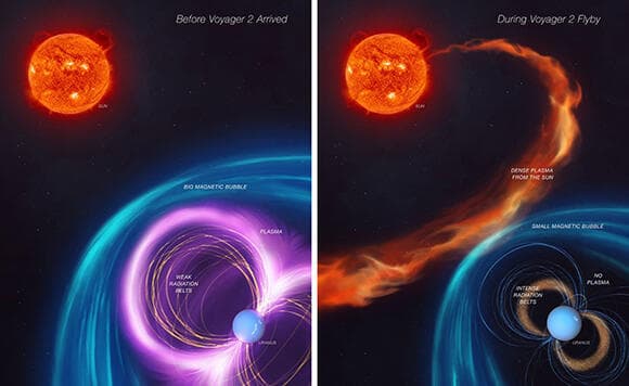רוח השמש העיפה את הפלזמה של אורנוס ושינתה את צורת המגנטוספרה שלו. המצב הרגיל של כוכב הלכת (משמאל), לעומת המצב בעת סערת השמש במעבר של וויאג'ר (איור: NASA/JPL-Caltech) רוח השמש העיפה את הפלזמה של אורנוס ושינתה את צורת המגנטוספרה שלו. המצב הרגיל של כוכב הלכת (משמאל), לעומת המצב בעת סערת השמש במעבר של וויאג'ר