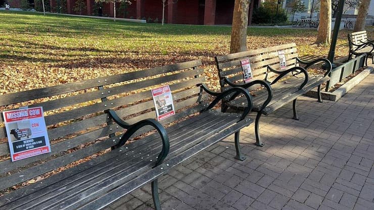 פוסטר שתלו אחוות סטודנטים באוניברסיטת פנסילבניה