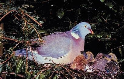 צילום: ויז'ואל/פוטוס