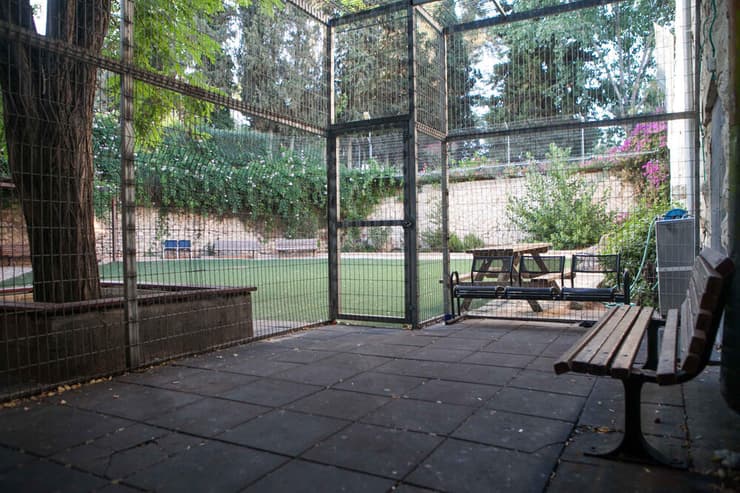 המוסד לבריאות הנפש "כפר שאול". ארכיון