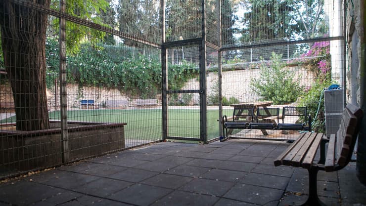 בית החולים כפר שאול, ארכיון (צילום: אוהד צויגנברג) בית החולים כפר שאול, ארכיון