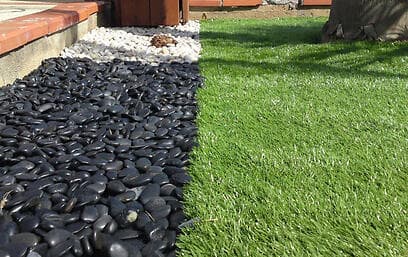 צילום: באדיבות פשוט ירוק