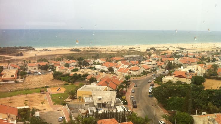 צילום: שמוליק דוד