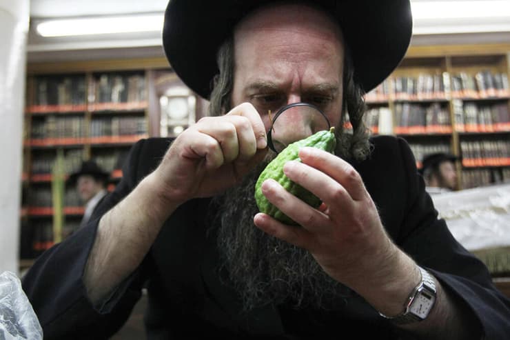 בדיקת אתרוג בזכוכית מגדלת. כלי עזר שמעביר מסר