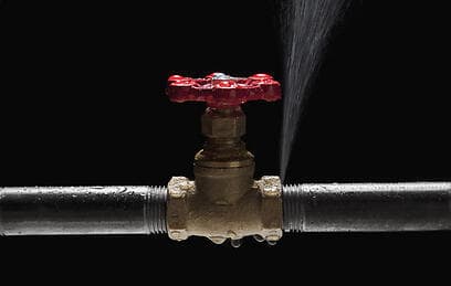 צילום: index open