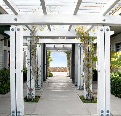 צילום: shutterstock