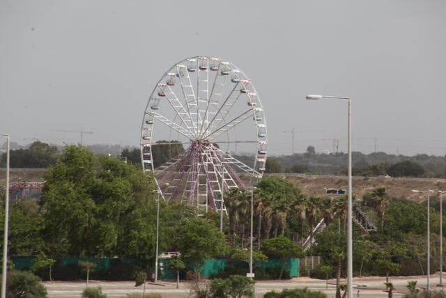צילום: מוטי קמחי