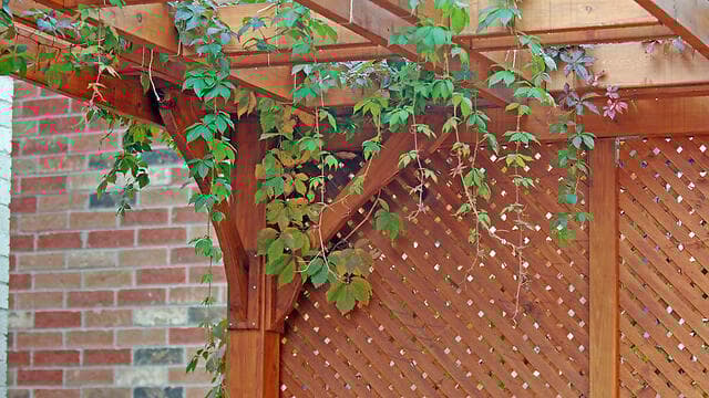 צילום: shutterstock