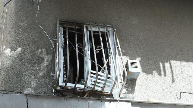 צילום: עופר עמרם