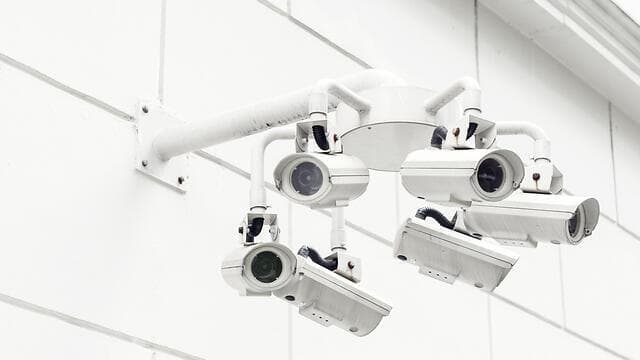 צילום: שאטרסטוק