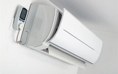 צילום: shutterstock