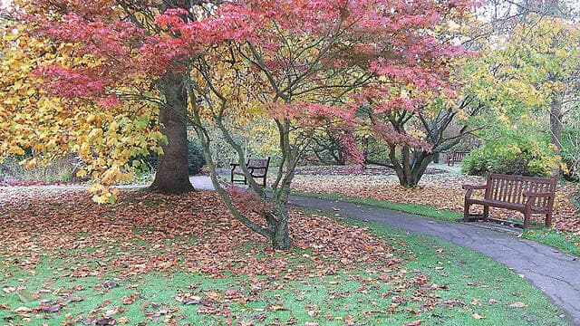 צילום: איוי לרר