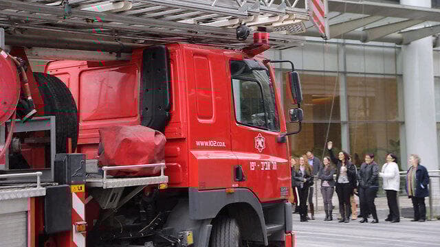 צילום: מוטי קמחי