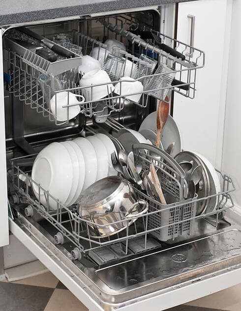 צילום: shutterstock