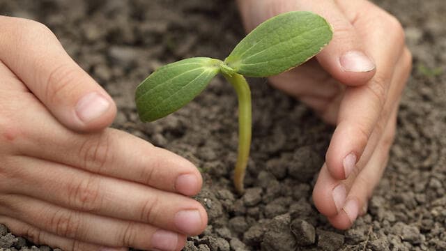 צילום: shutterstock