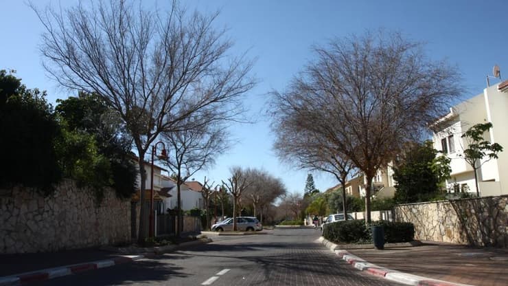 שוהם