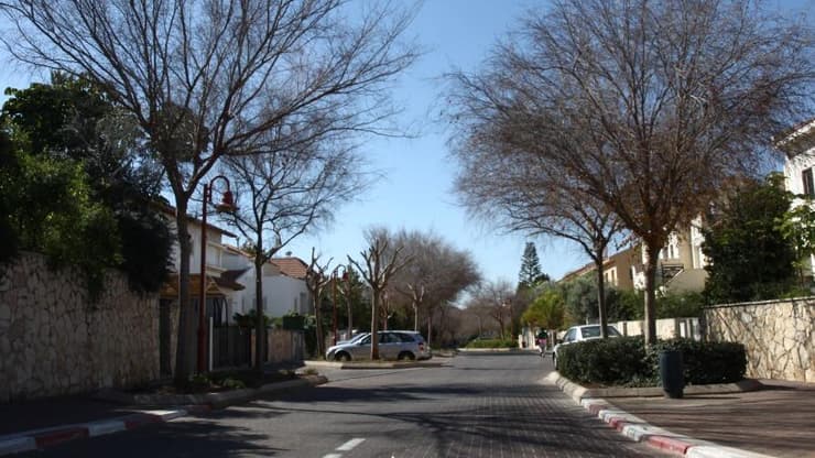 שוהם (צילום: אבי מועלם) שוהם