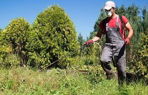 אפשר גם להדביר