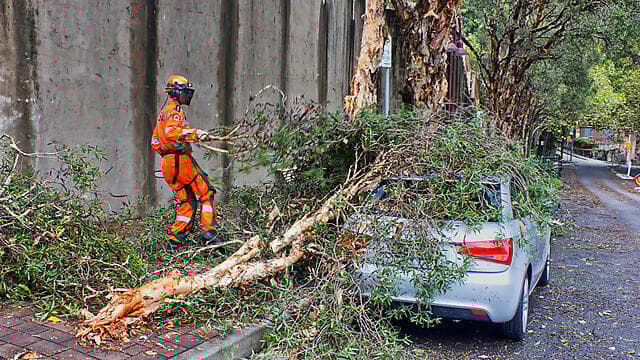 צילום: Shuttersotck