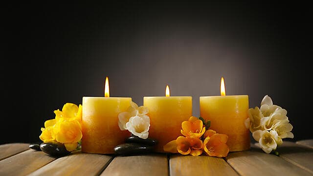 צילום: shutterstock