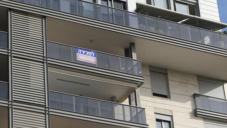 צילום: ירון ברנר