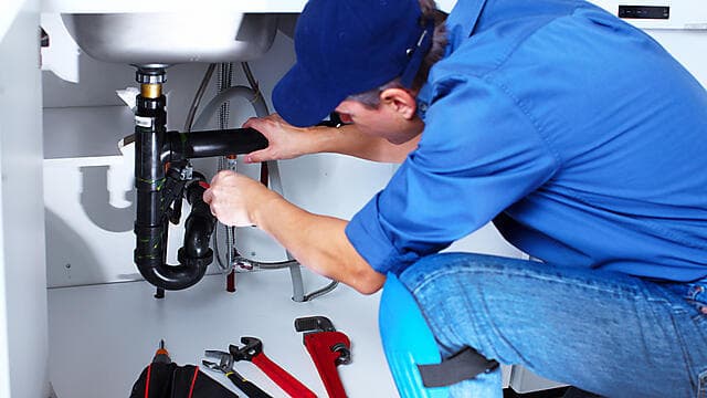 צילום: shutterstock