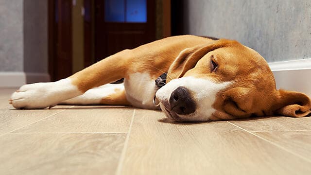 צילום: shutterstock