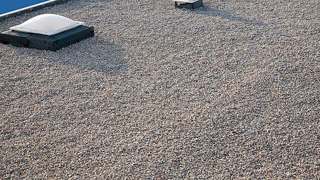 צילום: .shutterstock