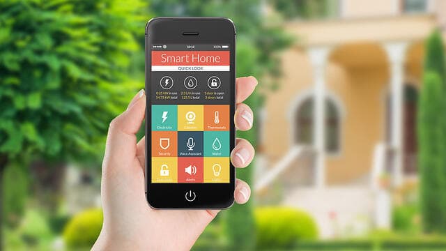 צילום: shutterstock