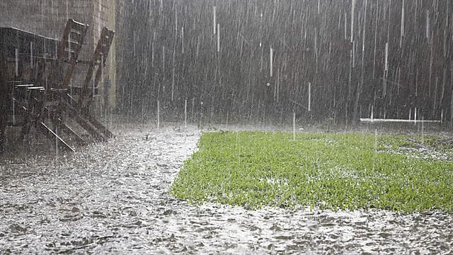 צילום: shutterstock