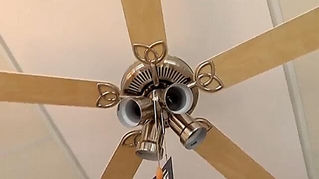 צילום: עוז מרון