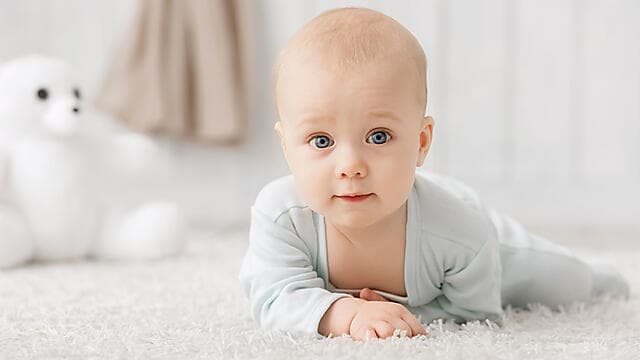 צילום: shutterstock