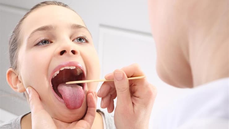 צילום: shutterstock