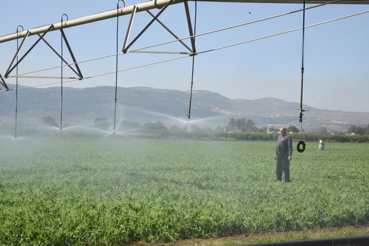 השקיית שדה בגליל העליון