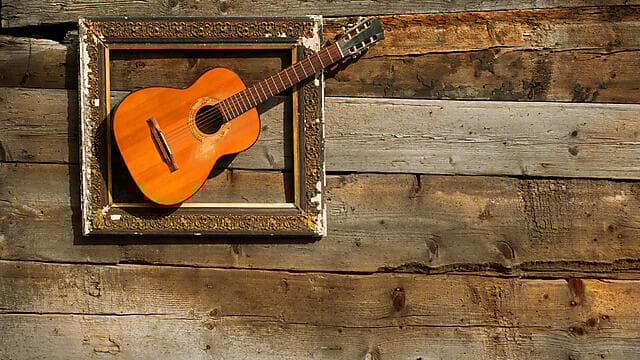 צילום: shutterstock