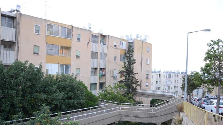 נשר