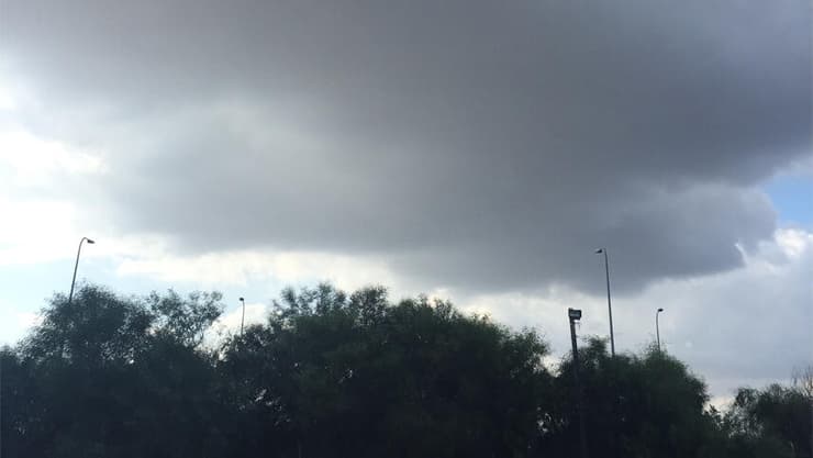 צילום: ליאב ליבוביץ