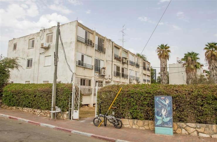 רעננה (צילום: עידו ארז) רעננה