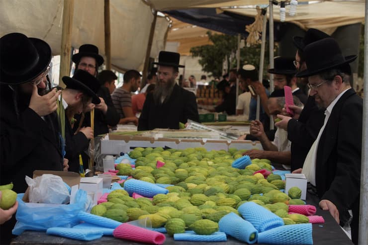 אתרוגים בשוק ארבעת המינים בירושלים, ארכיון