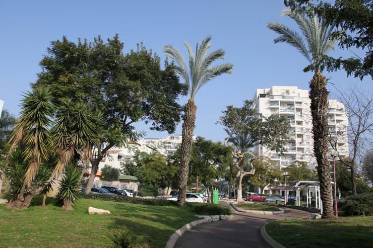 אור יהודה. עלייה במכירות, עם כוכבית (צילום: אבי מועלם) אור יהודה. עלייה במכירות, עם כוכבית