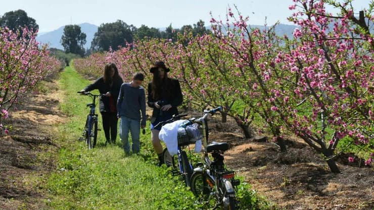 "נרגיש דחף כזה לבקר שוב באיזור הכי ירוק ומכושף שיש למדינה שלנו" (צילום: אביהו שפירא) "נרגיש דחף כזה לבקר שוב באיזור הכי ירוק ומכושף שיש למדינה שלנו"