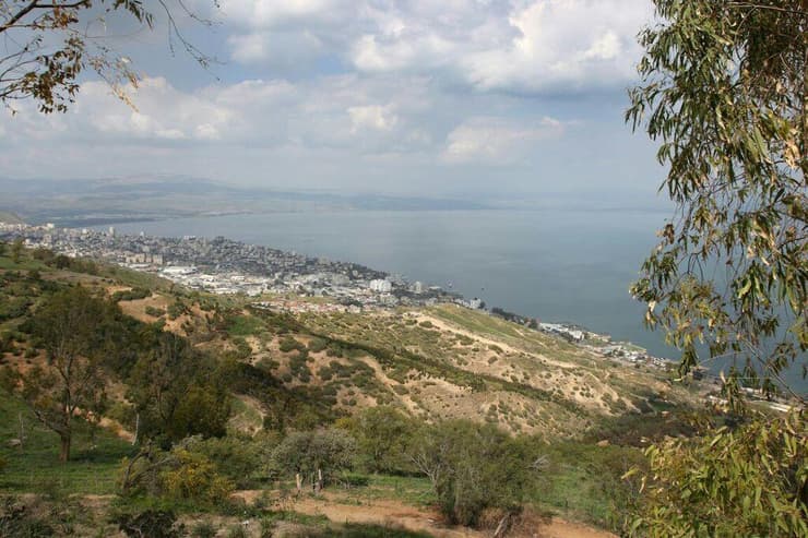 יער שווייץ (צילום: אבי מועלם) יער שווייץ